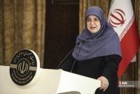مهاجرانی: دولت از افزایش قیمت دلار سود نمی‌برد