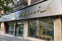 ۹۰درصد تسهیلات بانک توسعه صادرات ایران در اختیار بخش مولد خصوصی/ صدور ضمانت نامه برای تولیدکننده واقعی با قدرت ادامه دارد