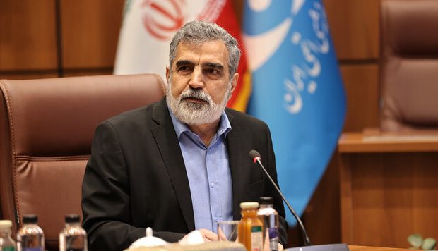 کمالوندی: در سطح همکاریها با آژانس تجدیدنظر میکنیم/ ساخت و راهاندازی سایت سوم غنیسازی کمالوندی: در سطح همکاریها با آژانس تجدیدنظر میکنیم/ ساخت و راهاندازی سایت سوم غنیسازی