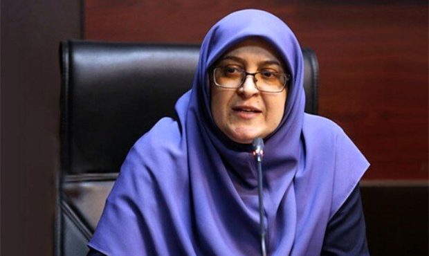 مهاجرانی:لایحه دولت برای فضای مجازی مانعی برای آزادی بیان نیست/ چهارشنبه تعطیل نیست