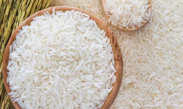 قیمت برنج ایرانی تا دو هفته آینده کاهش می‌یابد