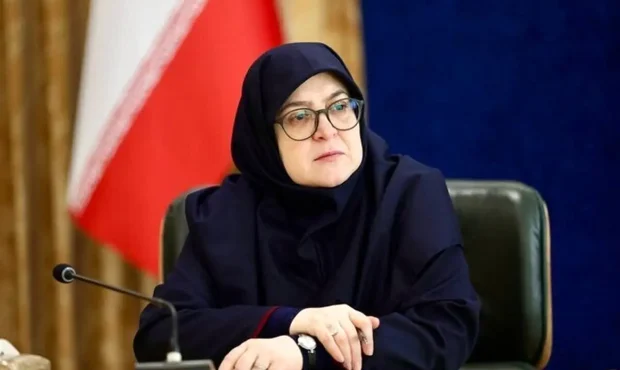 سخنگوی دولت: اینترنت طبقاتی هیچ وقت در دستور کار دولت نخواهد بود سخنگوی دولت: اینترنت طبقاتی هیچ وقت در دستور کار دولت نخواهد بود
